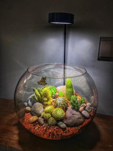 عکس نوین طبیعت