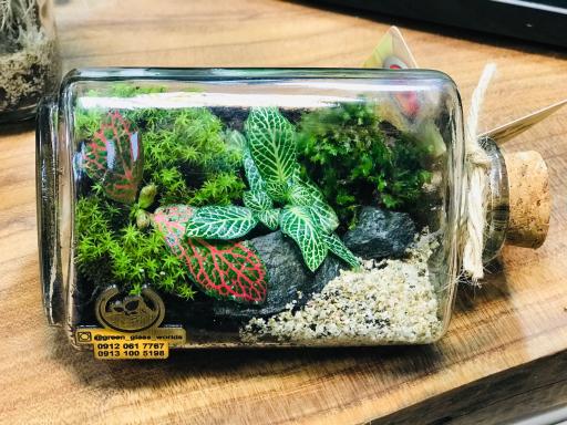 عکس نوین طبیعت