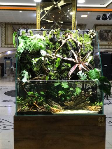 عکس نوین طبیعت