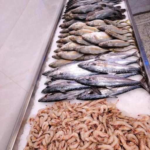عکس مرغ و ماهی دریا شعبه ۱