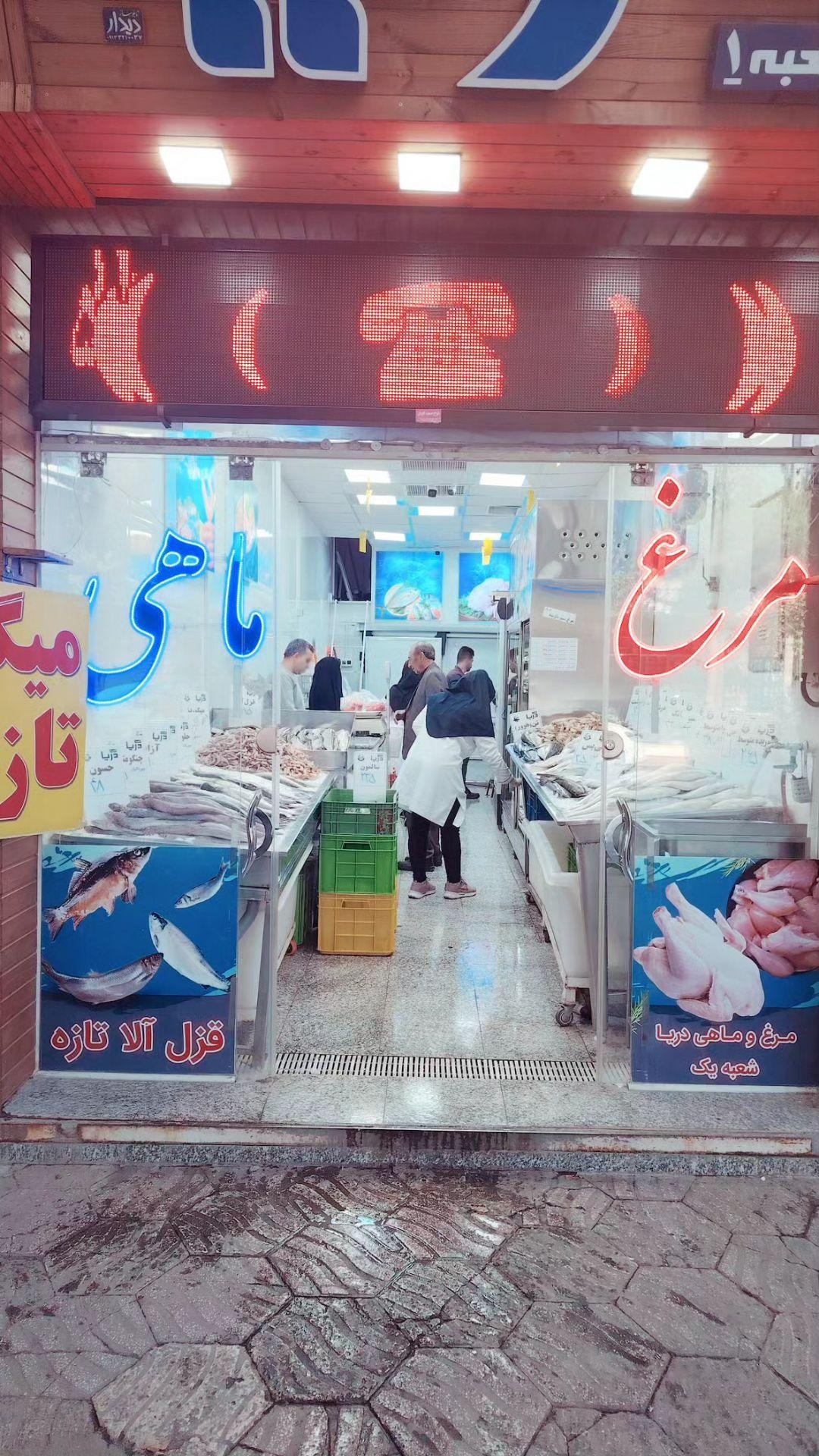 عکس مرغ و ماهی دریا شعبه ۱