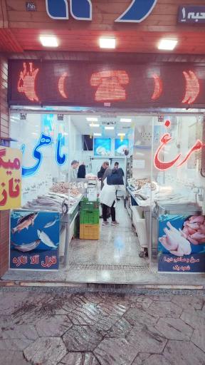 عکس مرغ و ماهی دریا شعبه ۱