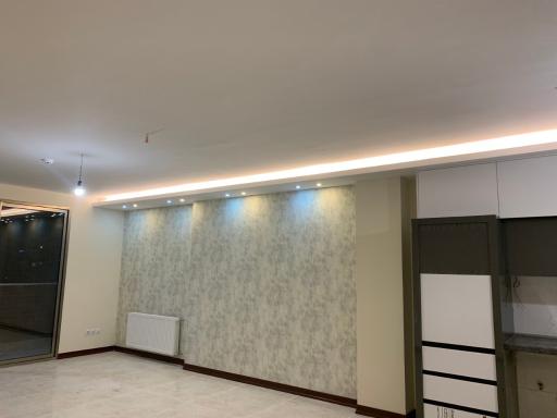 عکس رایان دکور