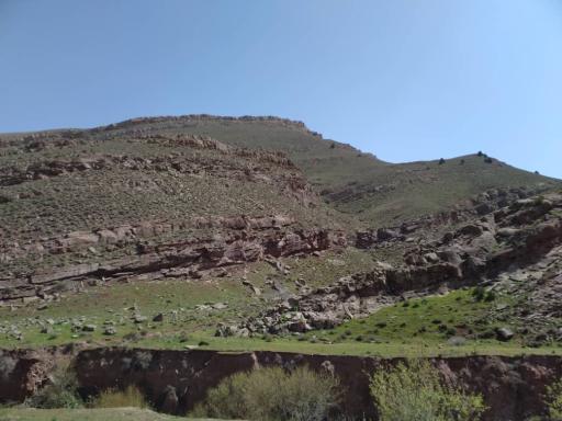 عکس علاقه