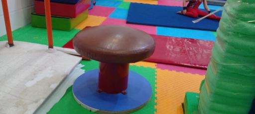 عکس سالن اختصاصی ژیمناستیک نیرآبادی