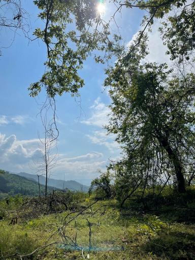 عکس آب بندان محمد آباد فندرسک 