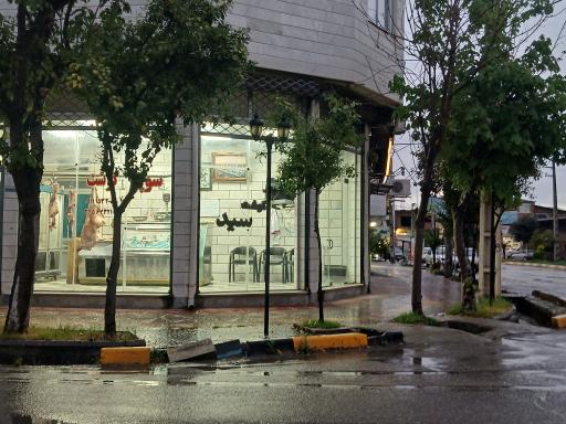 عکس قصابی سید