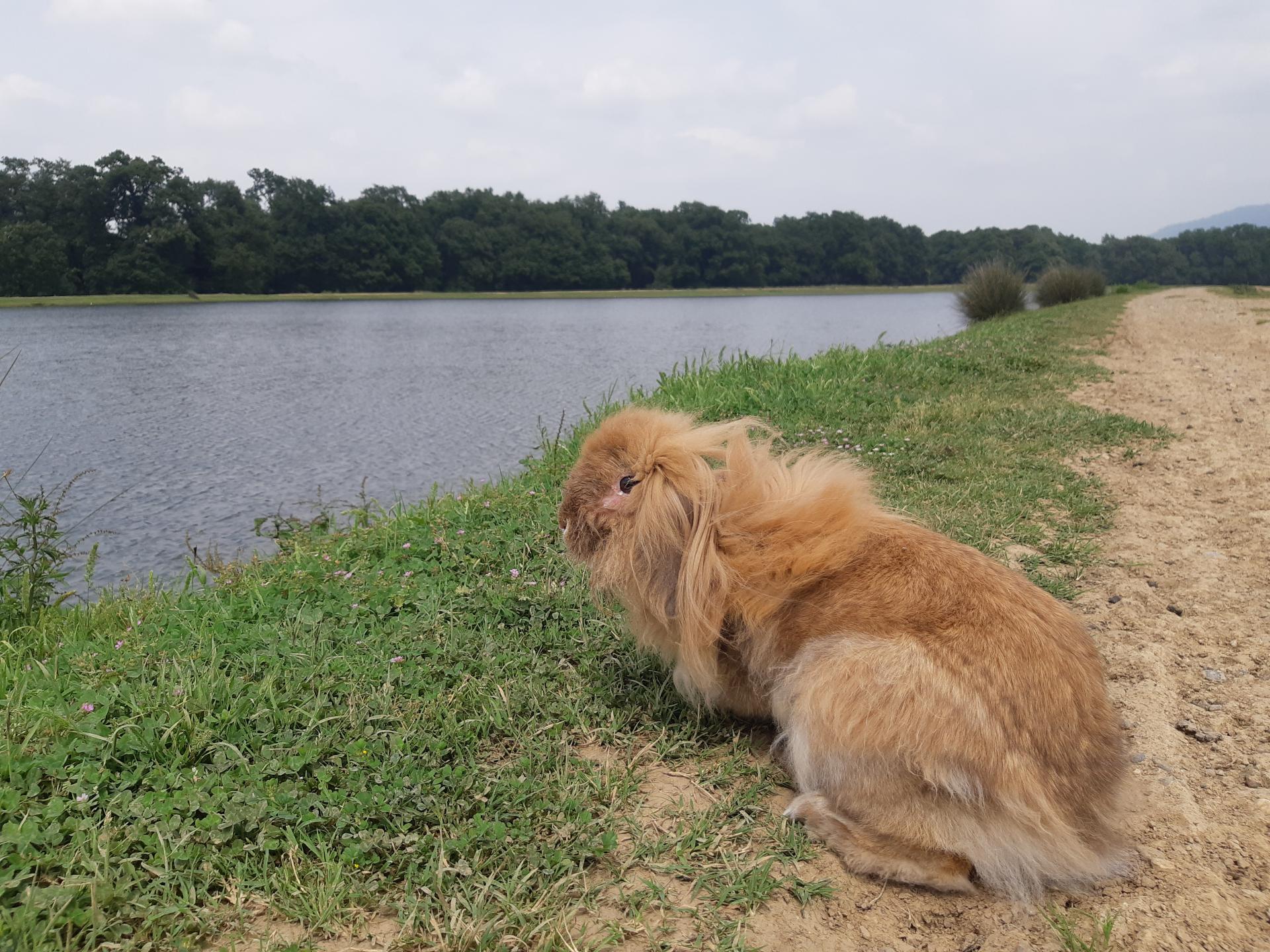 عکس آب بندان محمد آباد فندرسک 