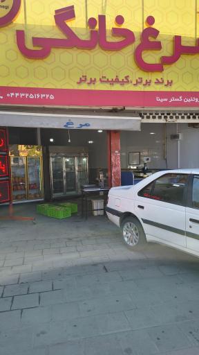 مرغ خانگی منصور فرج زاده 