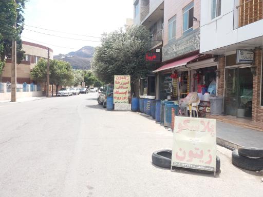 عکس زیتون امیر رضا