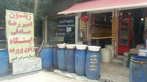 عکس زیتون امیر رضا