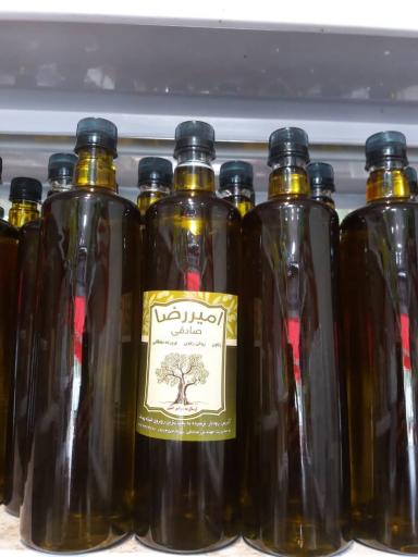 عکس زیتون امیر رضا