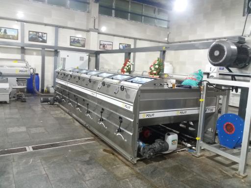 عکس زیتون امیر رضا