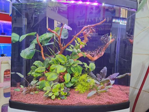 عکس آکواریوم مرکزی (ایران آکواریوم)
