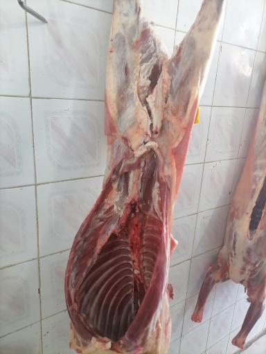 عکس جگر سرای چرب و چیلی