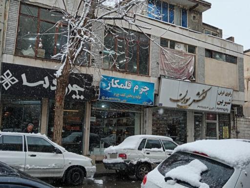 عکس چرم قلمکار