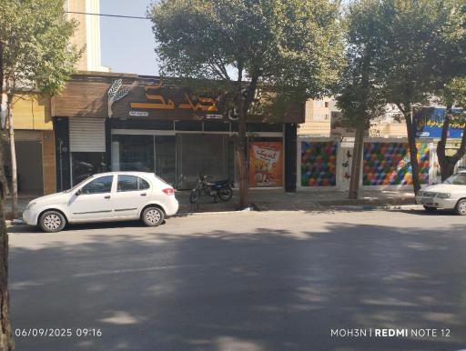 عکس نان فانتزی گندمک