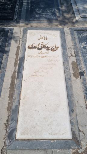 عکس قطعه 221