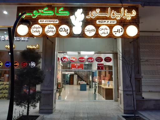 دیزاین استور کاکتوس