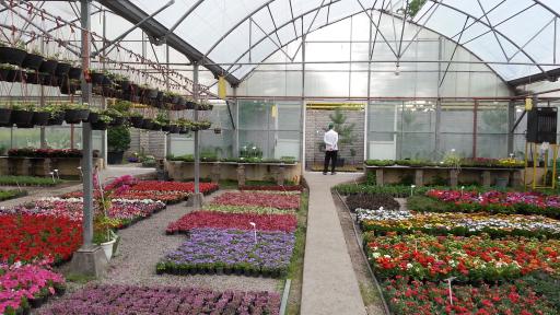 عکس موسسه تولید گل اردیبهشت