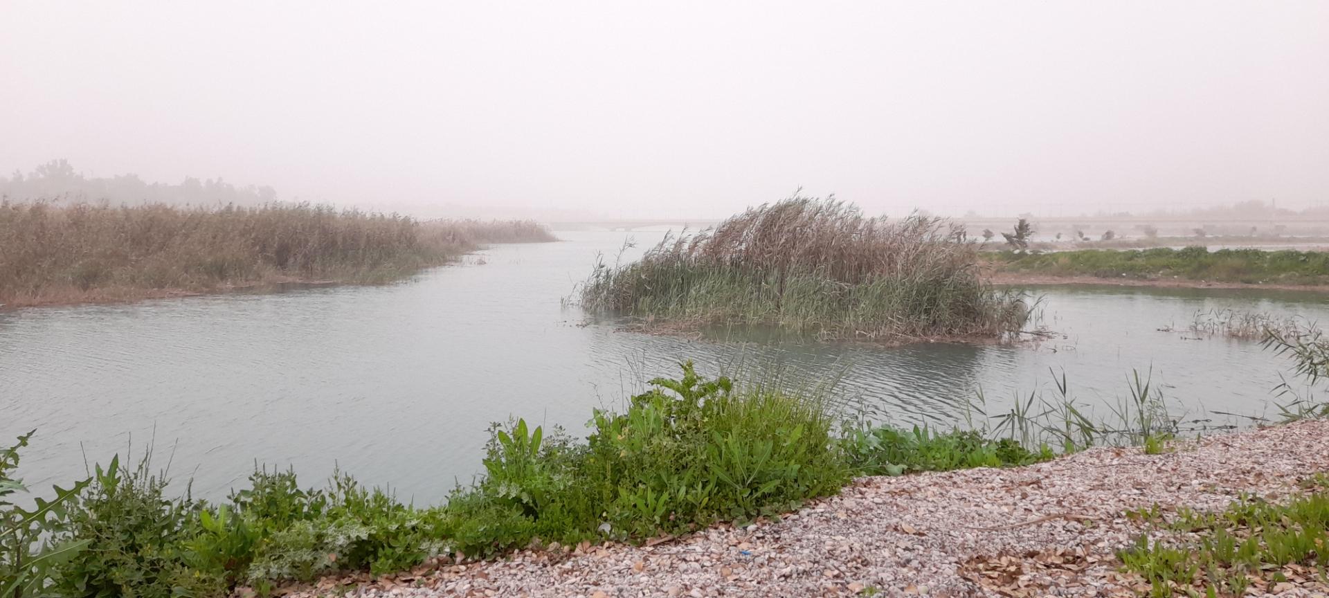 عکس پارک برکه