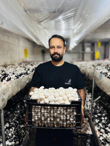 پرورش قارچ فرزافارم