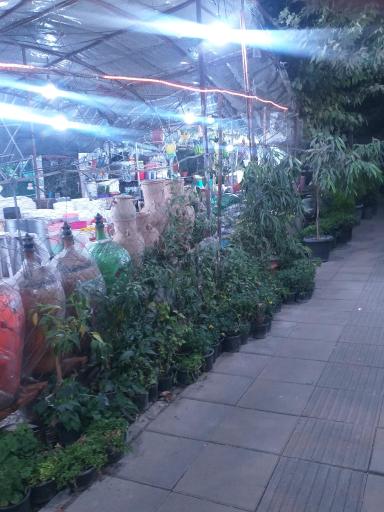 عکس گلفروشی کریمی