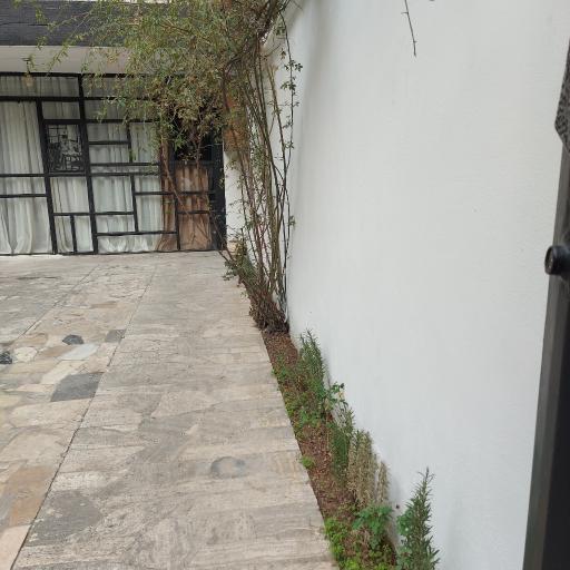 عکس مهمانپذیر  ترنج