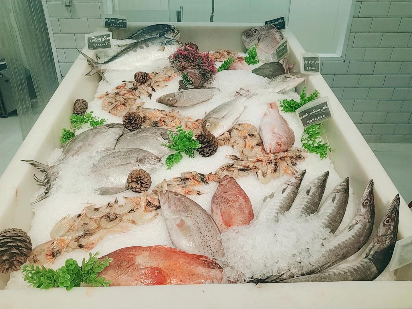 عکس هایپر استار اپال شعبه سرو