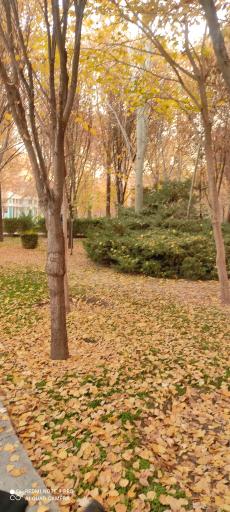 عکس پارک آبشار دوم