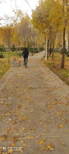 عکس پارک آبشار دوم