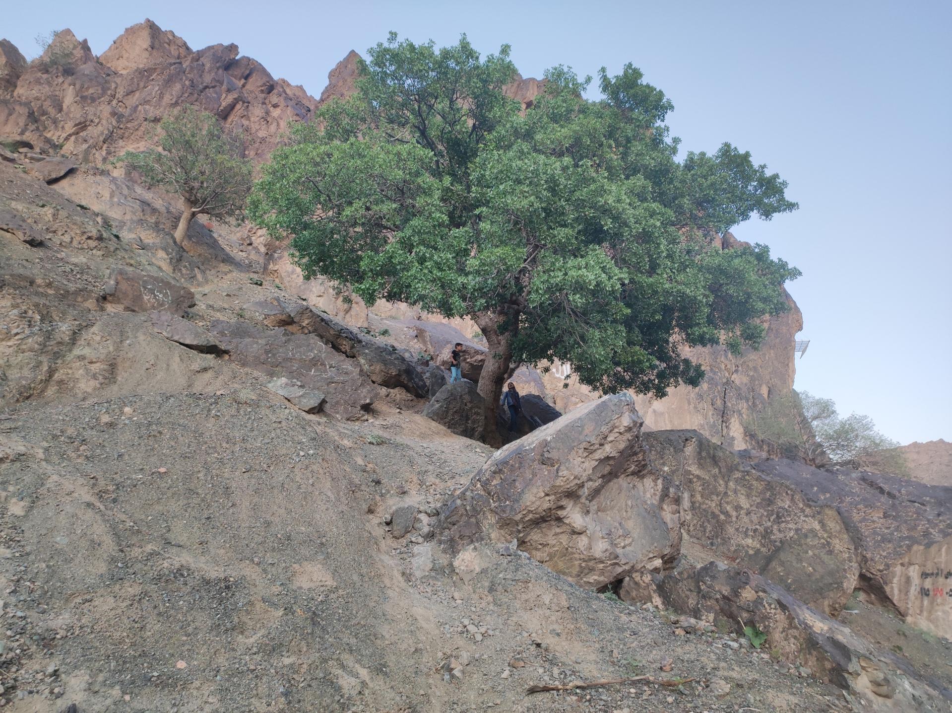 عکس چشمه آب معدنی بند دره