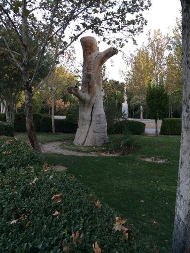 عکس پارک آبشار دوم