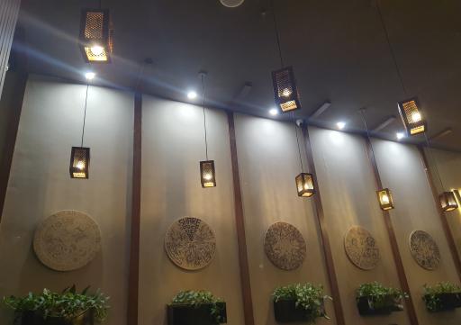 عکس پیتزا شبدیز قدس