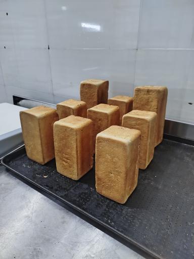 نان فانتزی آرتا