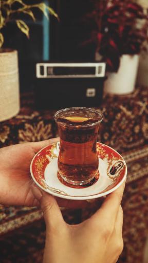 عکس صبحانه سرا آمیرزاد