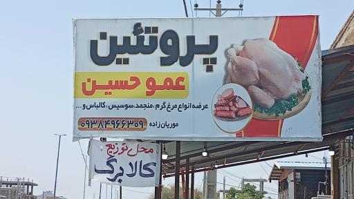 عکس پروتئین عمو حسین