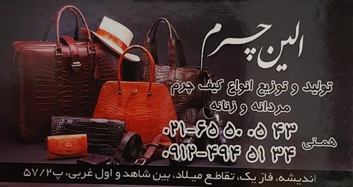 عکس تولیدی کیف و کفش الین چرم