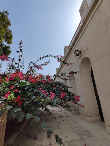 عکس عمارت طبیب