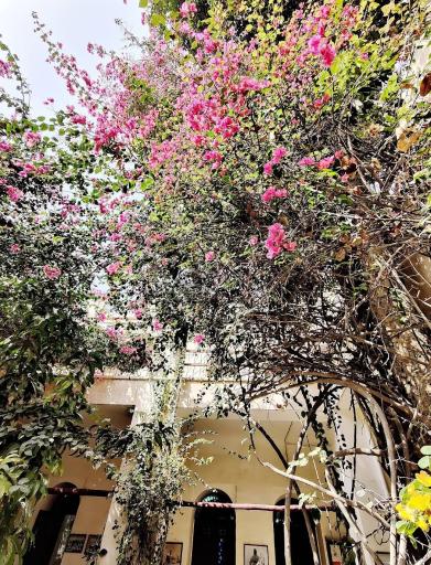 عکس عمارت طبیب