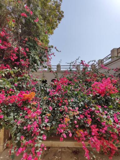 عکس عمارت طبیب