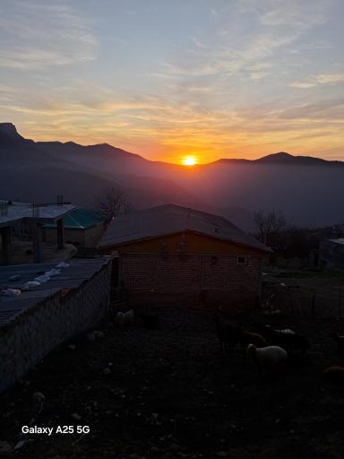 عکس الهادی