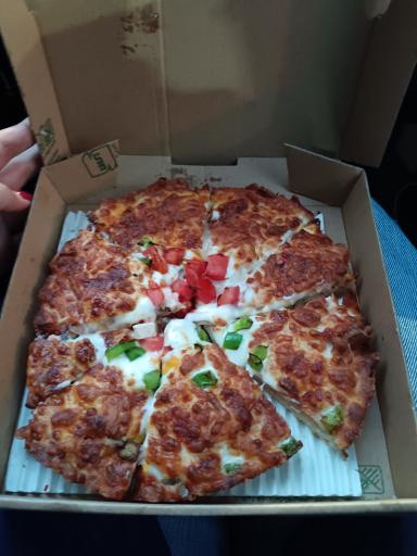 عکس پیتزا هفت چنار