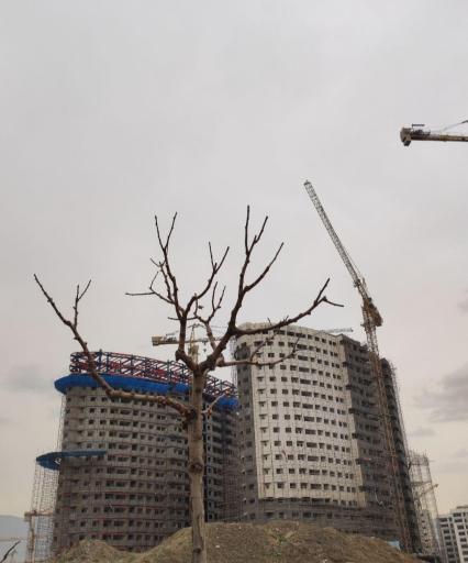 پروژه رادین