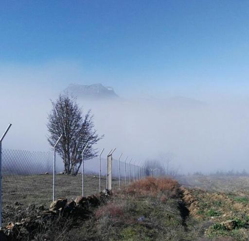عکس الهادی
