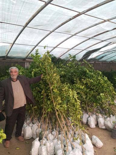 عکس گل سرای محمد زاده شعبه ۱