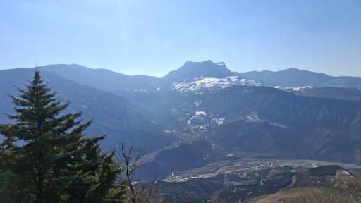 عکس الهادی