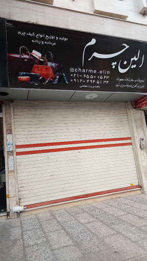 عکس تولیدی کیف و کفش الین چرم