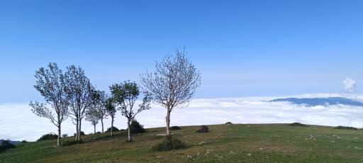 عکس مازیچال