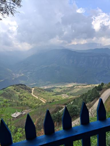 عکس الهادی